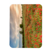 Poppies-Feld Magnet (Vertikal)