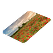 Poppies-Feld Magnet (Linke Seite)