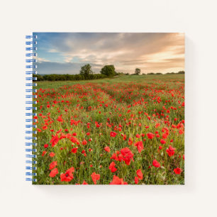 Poppies-Feld Notizblock