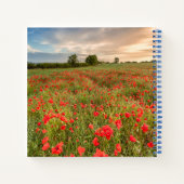 Poppies-Feld Notizblock (Rückseite)