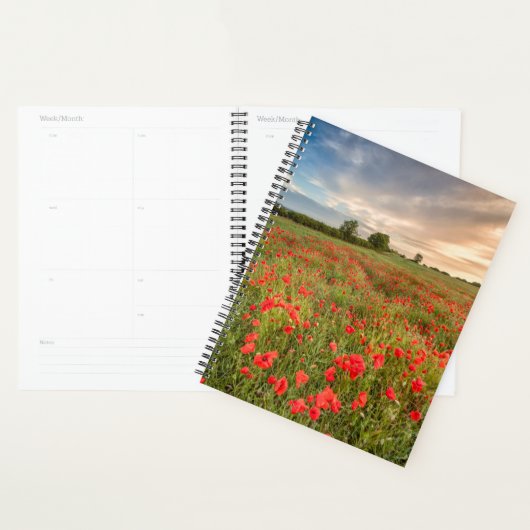 Poppies-Feld Planer (Anzeige)