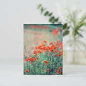 Poppies-Feld | Postkarte (Stehend Vorderseite)