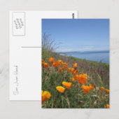 Poppies-Feld Postkarte (Vorne/Hinten)