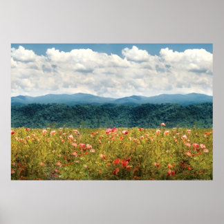 Poppies - Fragranatal Poster