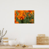 Poppies Galore Print Poster (Küche)