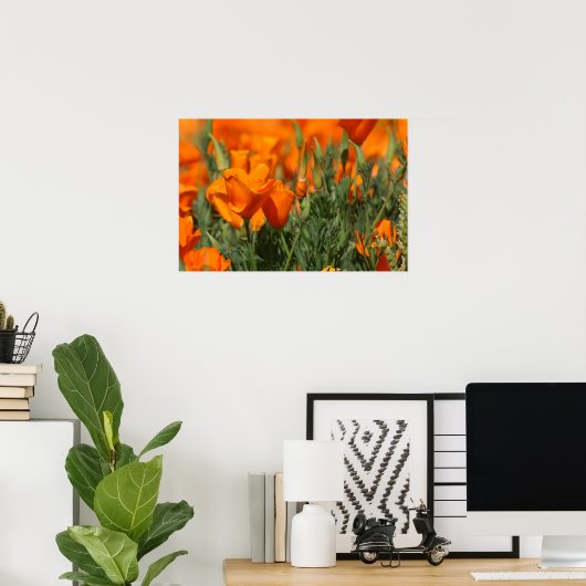 Poppies Galore Print Poster (Heimbüro)