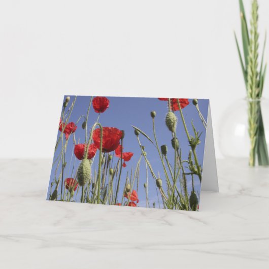 Poppies - Greeting Card Karte (Vorderseite)