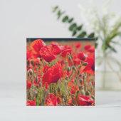 Poppies Greetings Card Dankeskarte (Stehend Vorderseite)