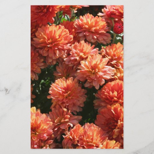 Poppies I Briefpapier (Vorderseite)