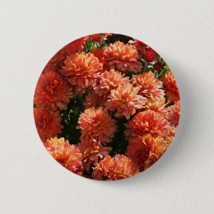 Poppies I Button