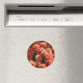 Poppies I Magnet (In Situ (Geschirrspüler))