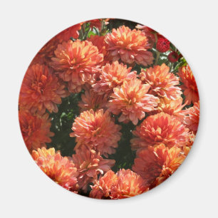 Poppies I Magnet