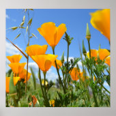 Poppies im Frühling Poster (Vorne)