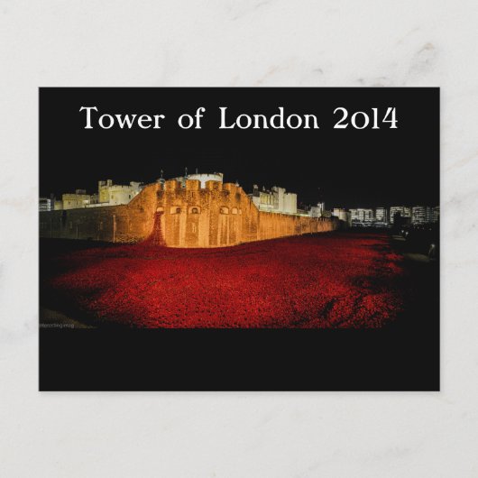 Poppies im Tower of London - Night Panorama Postkarte (Vorderseite)