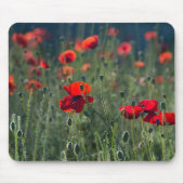 Poppies in a Field Mousepad (Vorne)