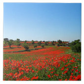 Poppies in Bloom Fliese (Vorderseite)