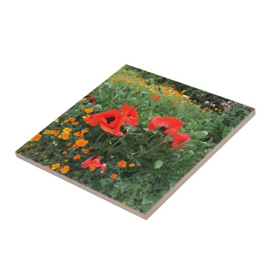 Poppies in einem Englischen Garten Fliese (Seite)