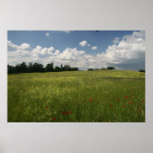 Poppies in Fields Poster (Vorne)