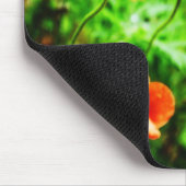 Poppies in Neuseeland Mousepad (Ecke)