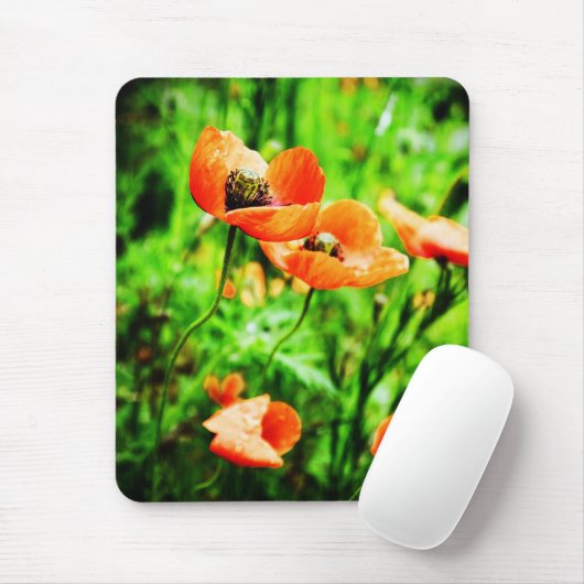 Poppies in Neuseeland Mousepad (Mit Mouse)