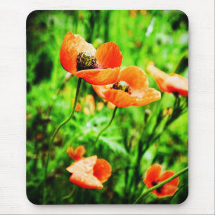 Poppies in Neuseeland Mousepad