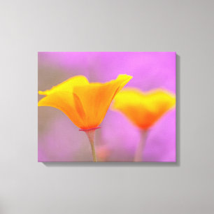 Poppies Leinwanddruck