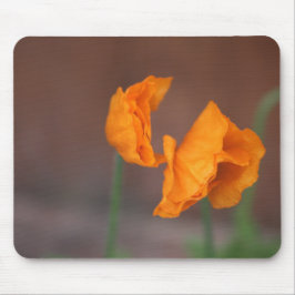 Poppies Mousepad