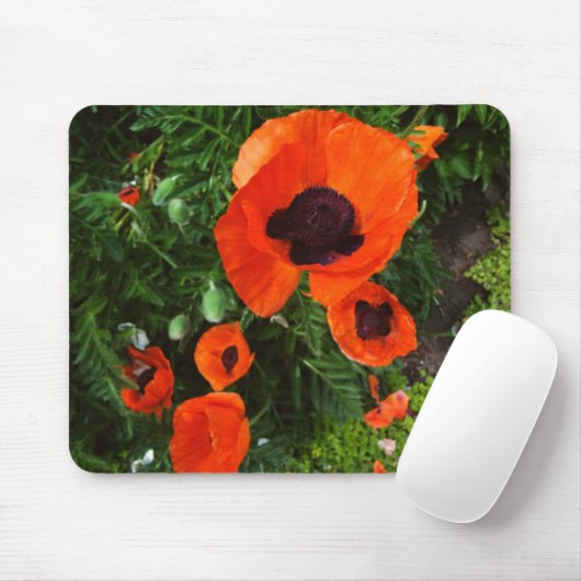 Poppies Mousepad (Mit Mouse)