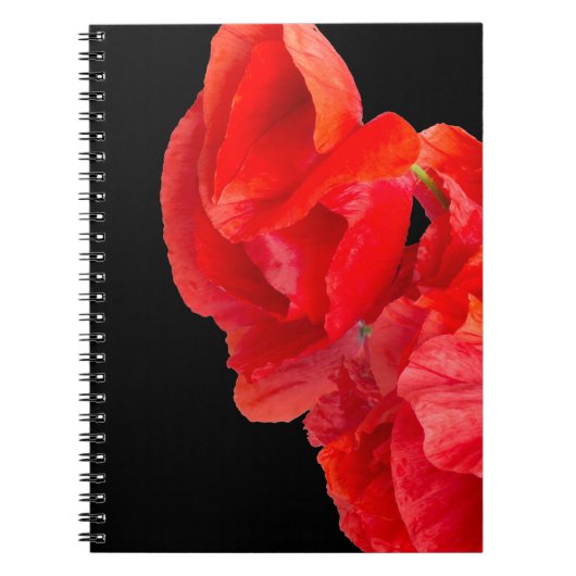 Poppies Notizblock (Vorderseite)