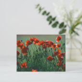 Poppies Nr. 3 | Postkarte (Stehend Vorderseite)