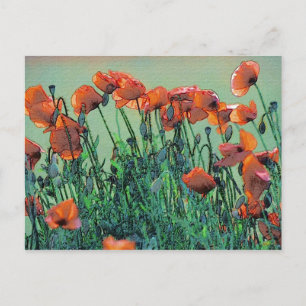 Poppies Nr. 4   Postkarte