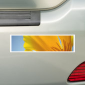 POPPIES Orange Mohn Blume 13 Karten Geschenke Tass Autoaufkleber (Auf Auto)