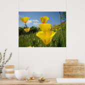 POPPIES Orange Poppy Blume Kunst, Kunst und Gerahm Poster (Küche)