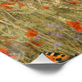 Poppies Poster (Ecke)