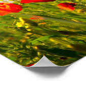 Poppies Poster (Ecke)