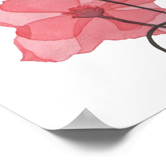 Poppies Poster (Ecke)