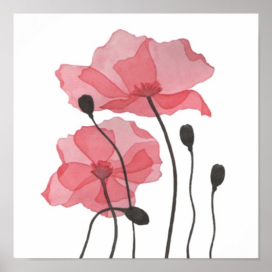 Poppies Poster (Vorne)