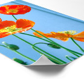Poppies Poster (Ecke)