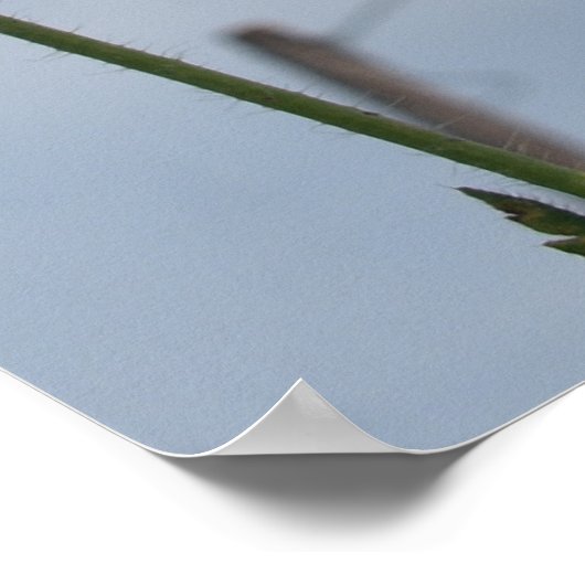 Poppies Poster (Ecke)