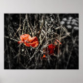 Poppies Poster (Vorne)
