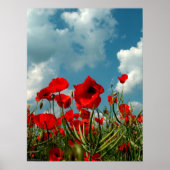 Poppies Poster (Vorne)