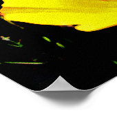 Poppies Poster (Ecke)