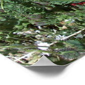 Poppies Poster (Ecke)