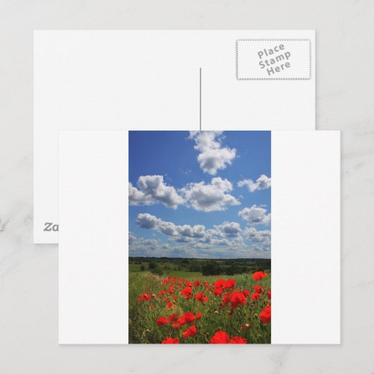 Poppies Postkarte (Vorne/Hinten)