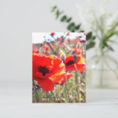 Poppies Postkarte (Stehend Vorderseite)