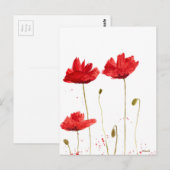 Poppies Postkarte (Vorne/Hinten)