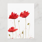 Poppies Postkarte (Vorderseite)