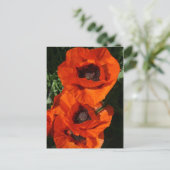 Poppies Postkarte (Stehend Vorderseite)