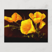 Poppies Postkarte (Vorderseite)