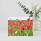 Poppies Postkarte (Stehend Vorderseite)